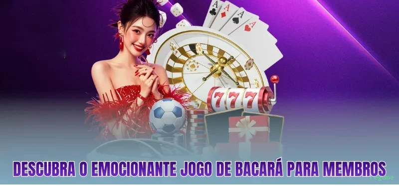regame Provedores Premium